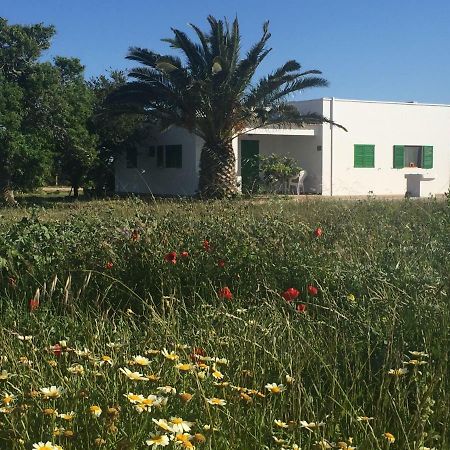 Es Magraner Vila Cala Saona Exterior foto
